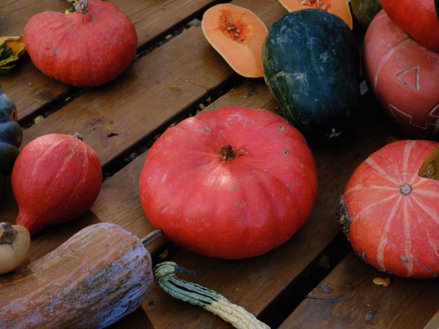 Meilleures pratiques alimentaires pour l’automne