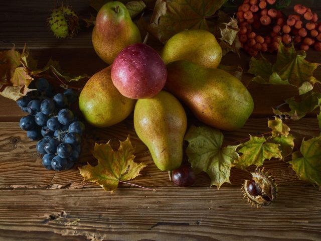 Comment bien s’alimenter durant l’automne pour rester en forme ?