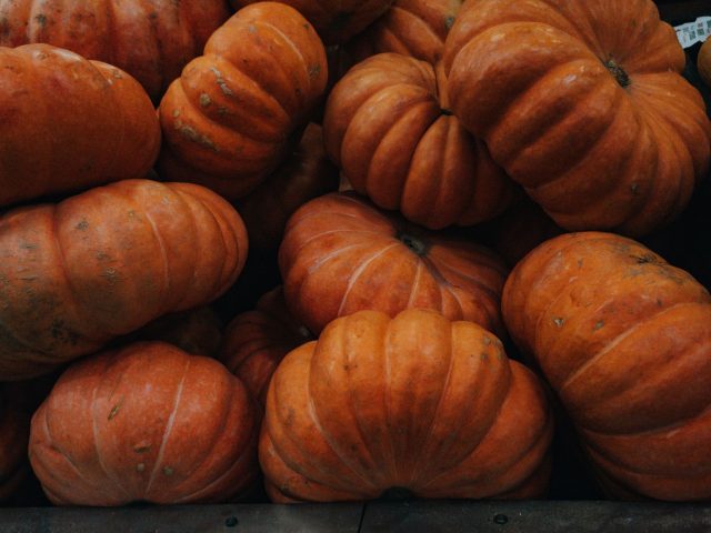 Dès le début de l’automne, explorez des recettes d’entrées gourmandes